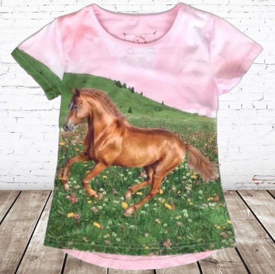 Chemise fille rose avec cheval marron - s&C-110/116-t-shirts filles