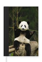 Notitieboek - Schrijfboek - Panda - Bamboe - Bos - Notitieboekje klein - A5 formaat - Schrijfblok