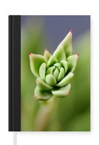 Notitieboek - Schrijfboek - Een groene botanische succulent met rode punten in de bloei - Notitieboekje klein - A5 formaat - Schrijfblok