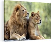 Artaza Canvas Schilderij Leeuw en Leeuwin in het Groene Wild - 120x80 - Groot - Foto Op Canvas - Wanddecoratie Woonkamer