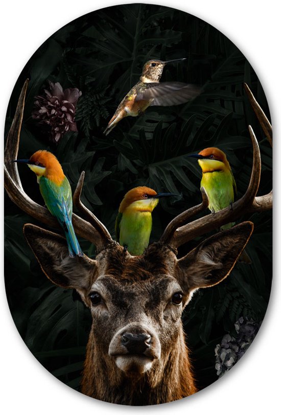 Wandovaal Deer with Birds - WallCatcher | Geborsteld Aluminium 100x150 cm | Ovalen schilderij | Muurovaal Hert met kleurrijke vogels
