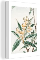 Canvas Schilderij Fruit - Bladeren - Japandi - 30x40 cm - Wanddecoratie