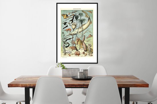 Cadre photo avec affiche - Mer - Animaux - Animaux aquatiques - 60x90 cm - Cadre pour affiche