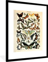 Fotolijst incl. Poster - Adolphe Millot - Vlinder - Dieren - Insecten - Vintage - 60x80 cm - Posterlijst