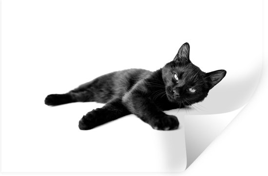 Stickers Stickers muraux - chat noir - noir et blanc - 60x40 cm - Feuille  adhésive | bol