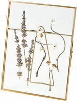 droogbloemenlijst 21 x 16 cm staal/glas goud