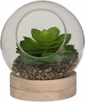 vetplant in glas 14 x 16 cm glas/hout bruin/groen