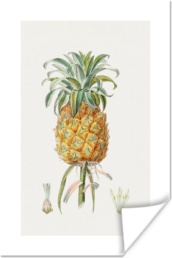 Poster Ananas - Fruit - Eten - 40x60 cm