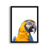 Schilderij  Gele papagaai / Jungle / Safari / 40x30cm