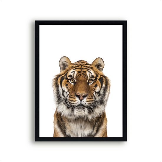 Poster Safari Tijger Hoofd - 50x40cm - Safari Jungle Dieren - Muurdecoratie