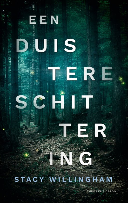 Een duistere schittering - cover