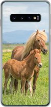 Geschikt voor Samsung Galaxy S10 hoesje - Paarden - Veulen - Berg - Siliconen Telefoonhoesje