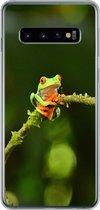 Samsung Galaxy S10 hoesje - Kikker - Takken - Groen - Siliconen Telefoonhoesje