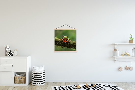 Porte-affiche avec affiche - Affiche scolaire - Grenouille aux yeux rouges sur une branche couverte - 40x40 cm - Lattes transparentes