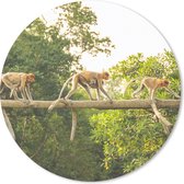Muismat - Mousepad - Rond - Apen wandelend over tak - 30x30 cm - Ronde muismat