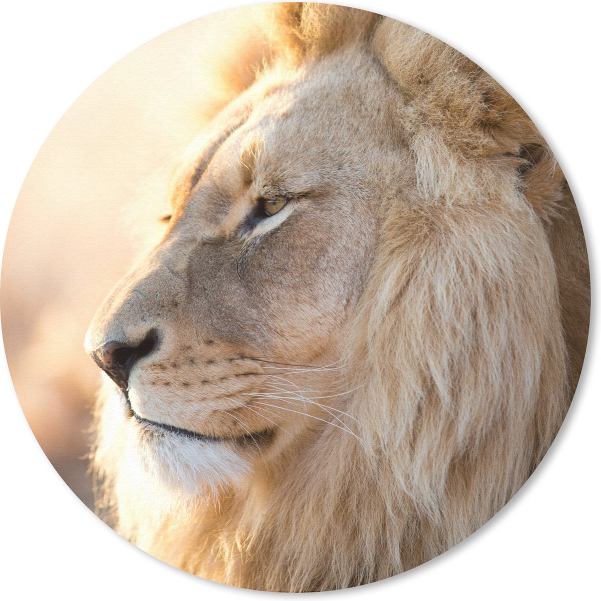 Muismat rond 50x50 cm - Mousepad Profiel- Leeuw - Dieren - Ronde muismatten
