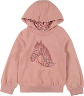 S.oliver sweatshirt Oudroze-140