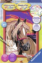 Schilderen op nummer Serie Classic E Droompaard