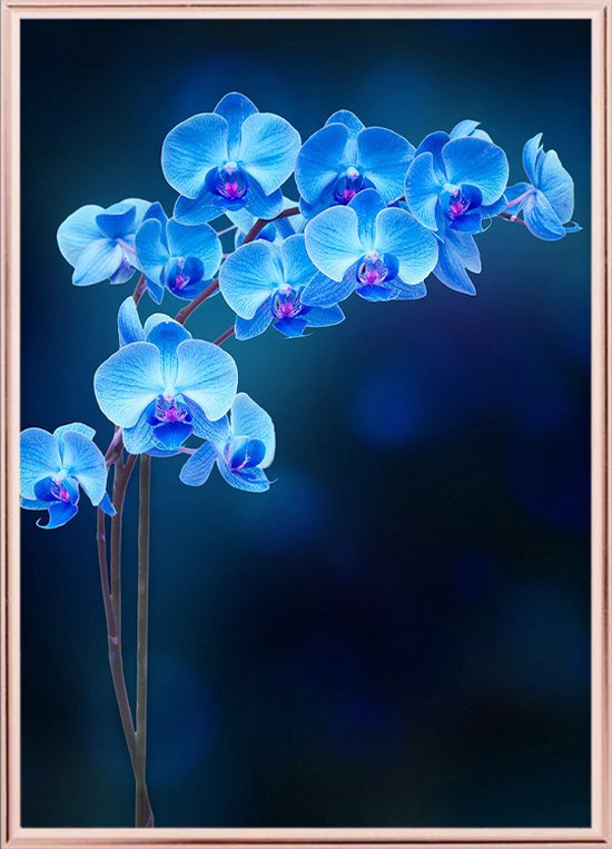 Poster Met Lijst - Blauwe Orchidee Poster (21x30cm)
