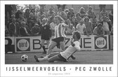 Walljar - Ijsselmeervogels - PEC Zwolle '73 - Zwart wit poster met lijst