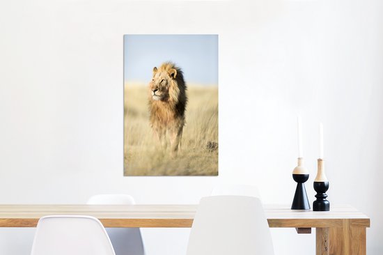 Gros plan lion marchant Aluminium 40x60 cm - Tirage photo sur aluminium (décoration murale métal)