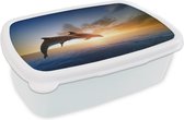 Broodtrommel Wit - Lunchbox - Brooddoos - Twee springende dolfijnen in het water - 18x12x6 cm - Volwassenen