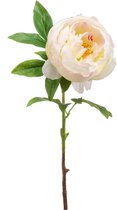 Kunstbloem Pioen beige/roze 63 cm