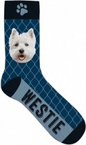 sokken Westie polyester blauw/zwart maat 31-36