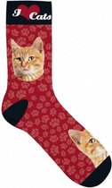 sokken Kat polyester rood maat 31-36