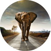 Muursticker Walking Elephant