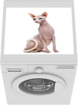 Wasmachine beschermer mat -  een Sphynx - Breedte 55 cm x hoogte 45 cm