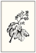 Esdoorn zwart-wit (Maple) - Foto op Akoestisch paneel - 100 x 150 cm