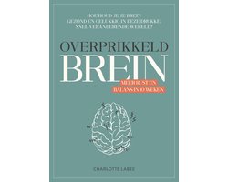 Omslag van Overprikkeld Brein