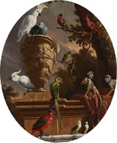 De menagerie, Melchior de Hondecoeter - Foto op Behangcirkel - ⌀ 100 cm