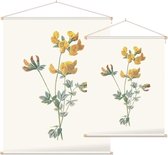 Gewone Rolklaver (Birds Foot Trefoil) - Foto op Textielposter - 60 x 80 cm