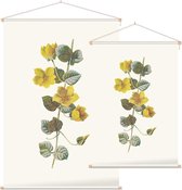 Penningkruid (Moneywort) - Foto op Textielposter - 90 x 135 cm