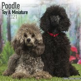 Poodle Toy & Miniature 2021