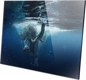 Olifant in het water | 90 x 60 CM | Wanddecoratie | Dieren op plexiglas | Schilderij | Plexiglas | Schilderij op plexiglas