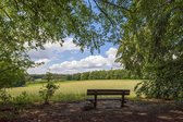 Fotobehang natuur korenveld langs bosrand 350 x 260 cm - € 235,--