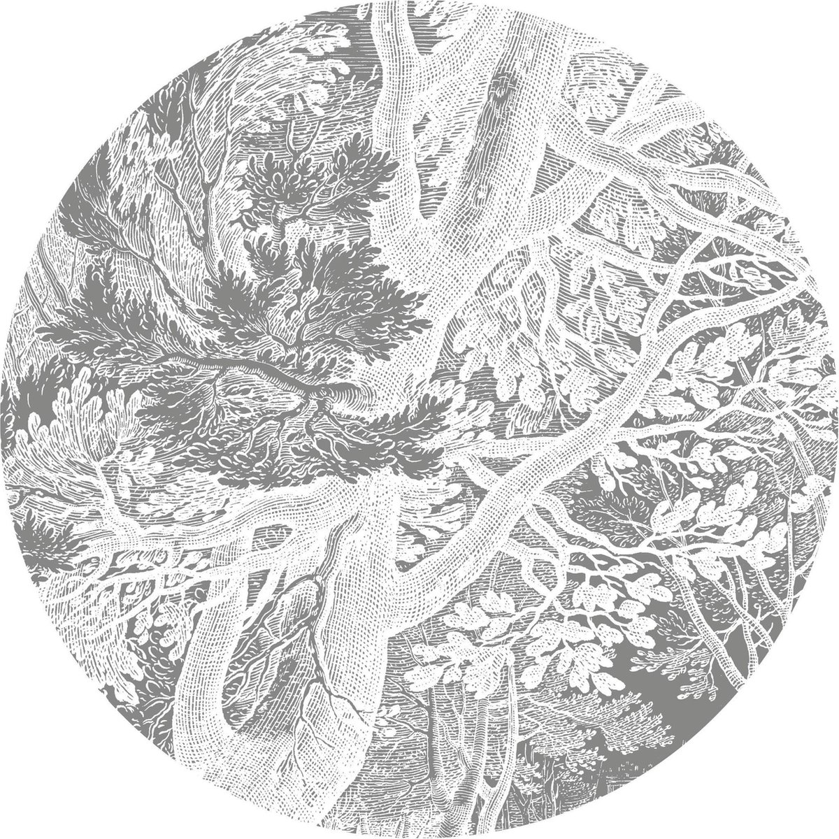 KEK Amsterdam behangcirkel l engraved landscapes plants ø190