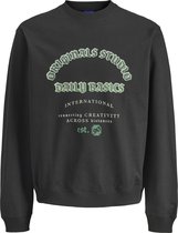 JACK&JONES - JORMEADOWS FRONT SWEAT CREW NECK JNR - Jongens - Sweaters