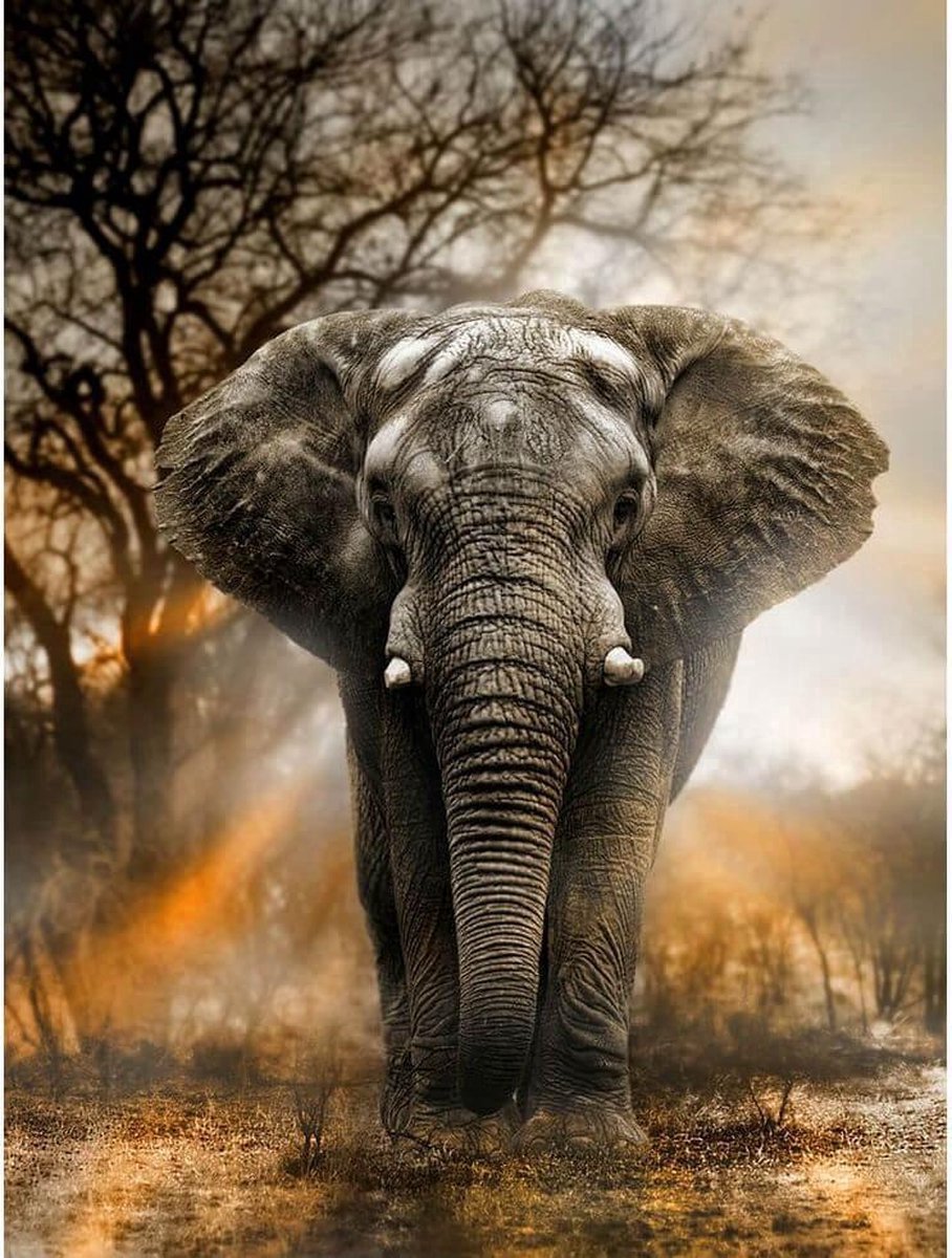 Finnacle - Diamond Painting - Volledige Bedekking - Vierkante Steentjes - Inclusief Premium Tools - Olifant in Schemer - 50x60