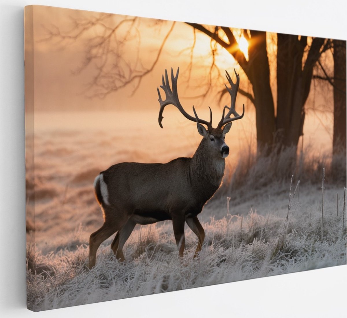 Saammp Canvas Schilderij - hert met zonsopgang in bevroren gras - Natuur - Dieren - 30x20 - Foto op canvas - Wanddecoratie - Muurdecoratie Woonkamer - Slaapkamer decoratie - Canvas Print Multicolor