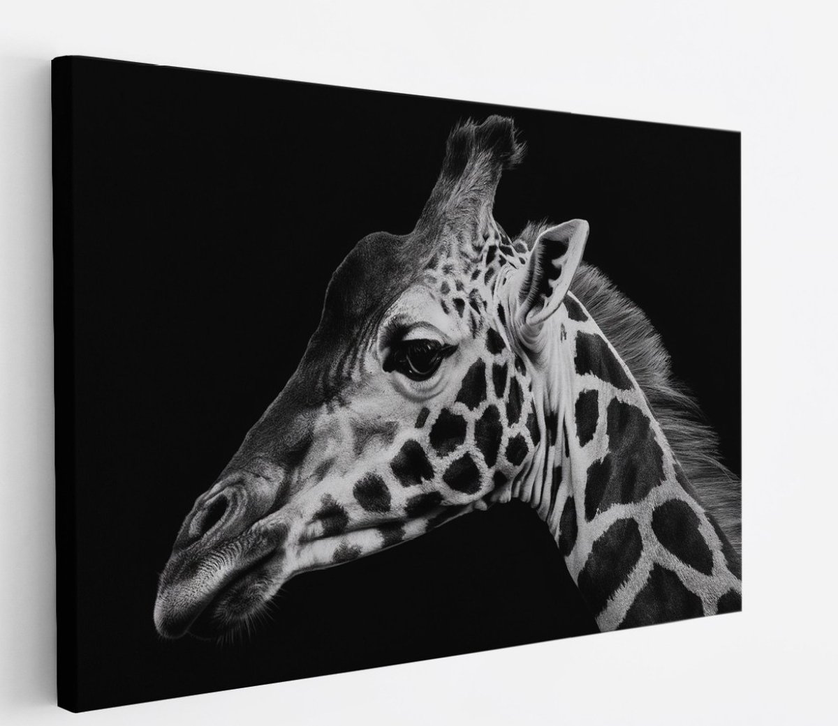 Saammp Canvas Schilderij - Giraffe - Natuur - Dieren - 60x40 - Foto op canvas - Wanddecoratie - Muurdecoratie Woonkamer - Slaapkamer decoratie - Canvas Print Multicolor