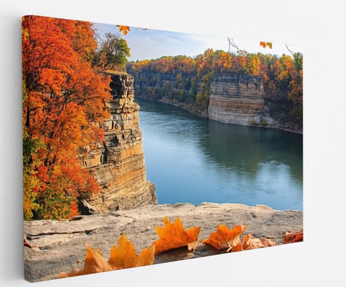 Saammp Canvas Schilderij - Rode Bladeren op Rots - Natuur - Landschap - 120x80 - Foto op canvas - Wanddecoratie - Muurdecoratie Woonkamer - Slaapkamer decoratie - Canvas Print Multicolor