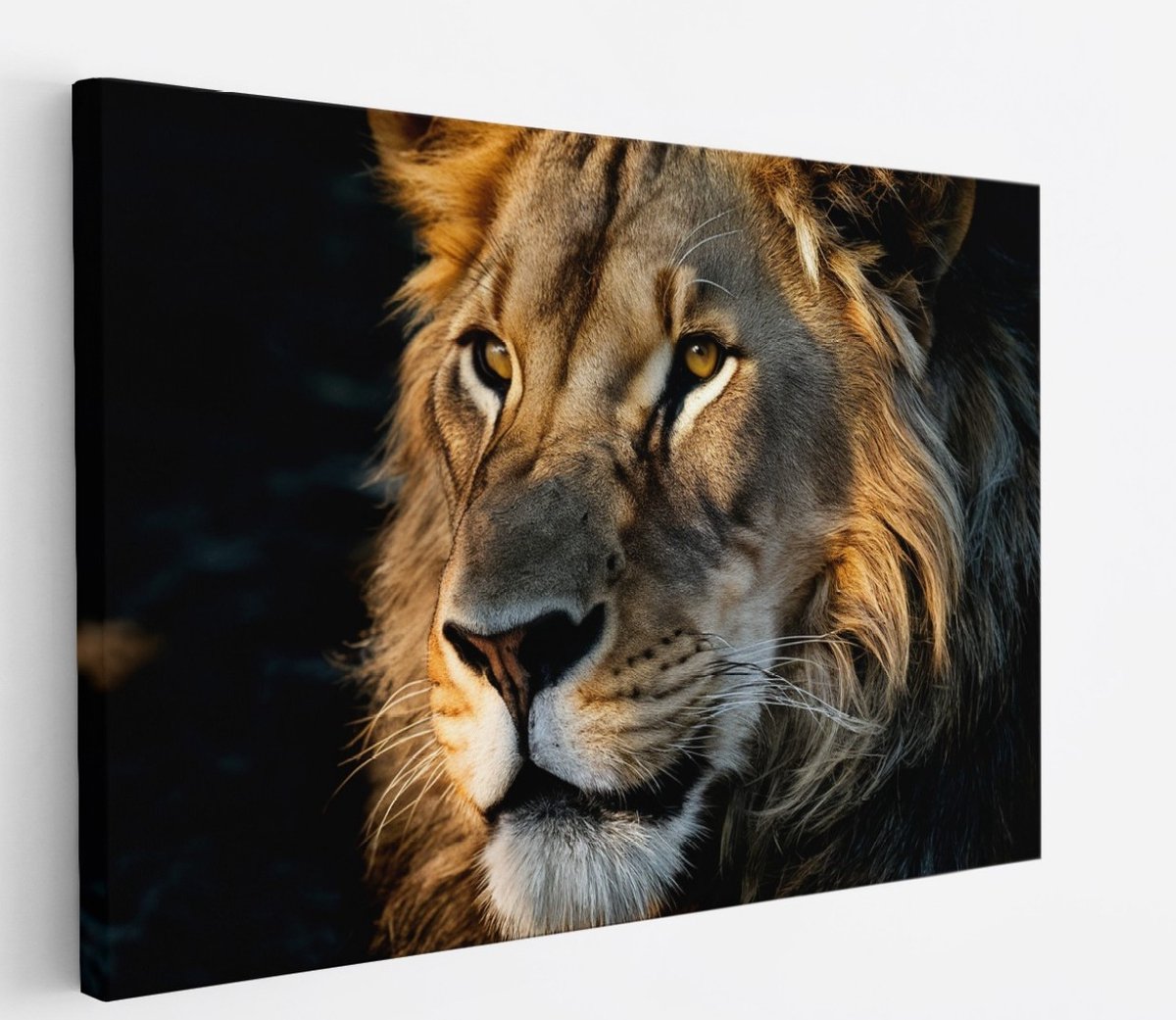Saammp Canvas Schilderij - Leeuwen Portret - Dieren - Natuur - 50x40 - Foto op canvas - Wa