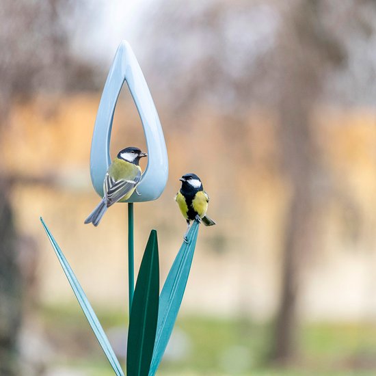 CJ Wildlife Deluxe - Egelhuis - Groen