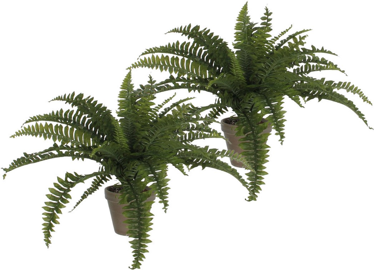 Mica Decorations Mica Decoration Varen kunstplant - 2x - groen - 45 x 70 cm - Kamer/kantoor planten