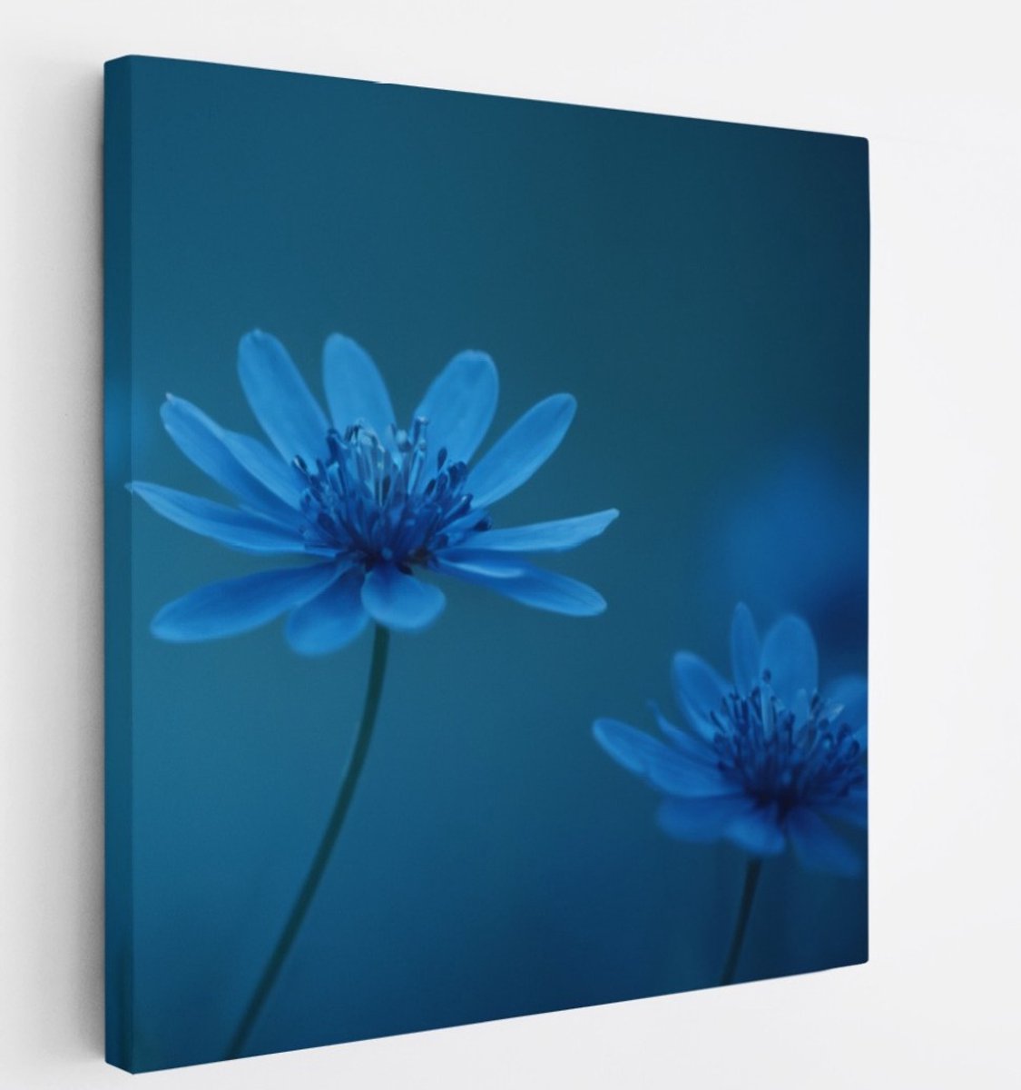 Saammp Canvas Schilderij - Blauwe Bloemen Mystiek - Natuur - Abstract - 40x40 - Foto op canvas - Wanddecoratie - Muurdecoratie Woonkamer - Kantoor Decoratie Multicolor