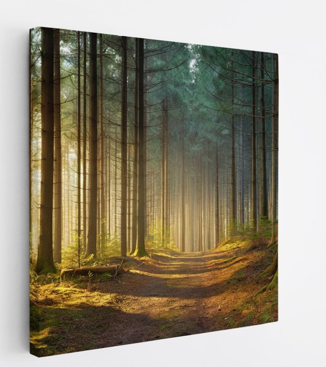 Saammp Canvas Schilderij - Bospad tussen de bomen - Landschap - Natuur - 20x20 - Foto op canvas - Wanddecoratie - Muurdecoratie Woonkamer - Slaapkamer decoratie - Canvas Print Multicolor
